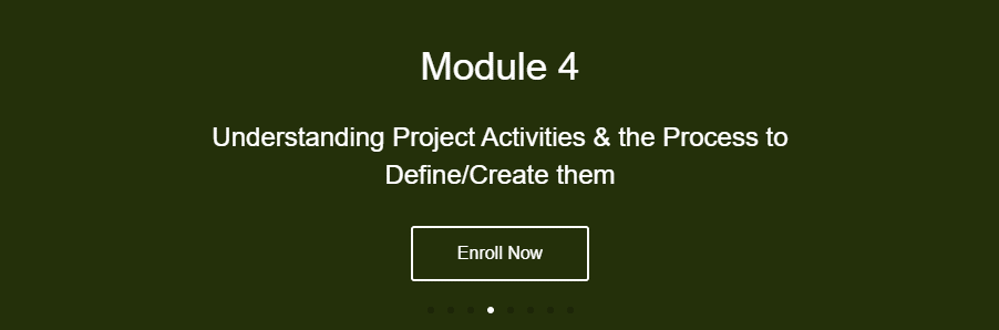 Module 4 Understanding Project Activities