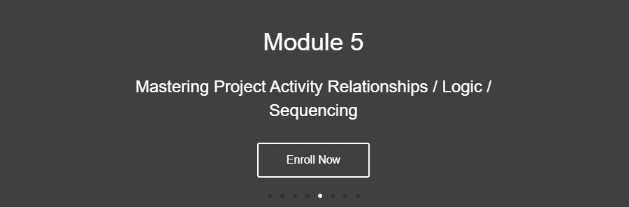 Module 5 Mastering Project Activity Relationships